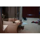 Shallow Coral Flux Capacitor thumbnail