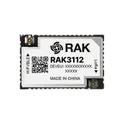 RAK3112