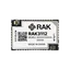 RAK3112