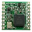 RFM96W-433S2        