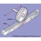 Conservation Brown Massive Robot Spider thumbnail