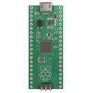 Raspberry Pi Pico 2 Board thumbnail