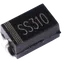 SS310