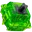 TKC Kiwi image.png