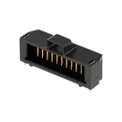 UMPT-10-01-L-RA-WT-M-TR