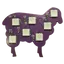 Magic sheep