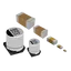 Generic Capacitor