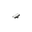 image-removebg-preview.png