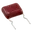 image-removebg-preview.png