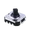image1.png