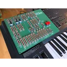 PG800 clone polygons