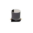 RVE1A101M0505 thumbnail