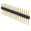 Pin Header 01x17 2.54mm Vertical
