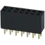 Pin Socket 02x07 2.00mm Vertical