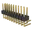 2X10 H.png