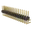 2X16 H.png