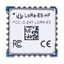Wio-E5 (STM32WLE5JC)