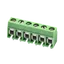 691137710006