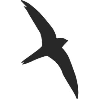 Black Swift Technologies