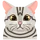 duarts