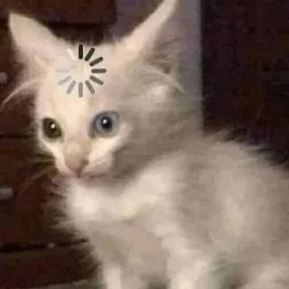 Angel Roberto Medina Rodríguez