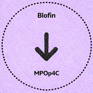 Cod de Recomandare BloFin: MPOp4C | Bonus de până la 30.050 USDT în 2026