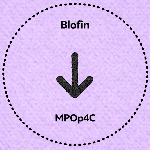 blofin-japan-referral-code