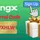 what-is-bingx-referral-code-2026